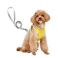 HKM-9527613 Breathable Polyester Dog Leash with Chest Strap for Small Breeds