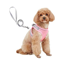 HKM-9527613 Breathable Polyester Dog Leash with Chest Strap for Small Breeds