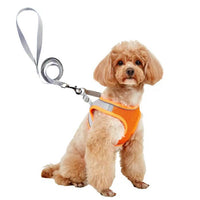 HKM-9527613 Breathable Polyester Dog Leash with Chest Strap for Small Breeds