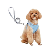 HKM-9527613 Breathable Polyester Dog Leash with Chest Strap for Small Breeds