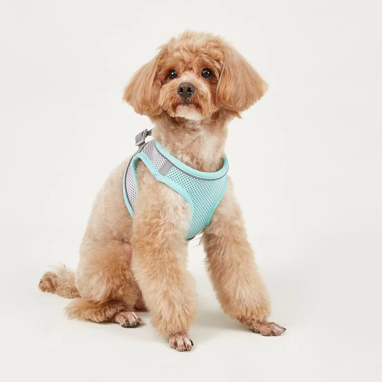 HKM-9527613 Breathable Polyester Dog Leash with Chest Strap for Small Breeds