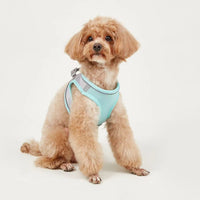 HKM-9527613 Breathable Polyester Dog Leash with Chest Strap for Small Breeds