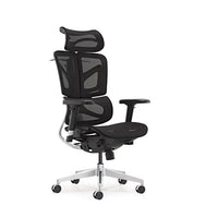 HKM-952979 High Back Ergonomic Executive Office Chair with Adjustable Features and Swivel Design