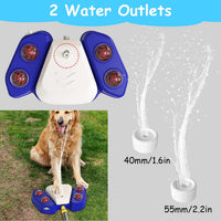 HKM-9536573 Multifunctional Automatic Dog Water Fountain with Sprinkler and Shower Balls for Drinking and Playtime