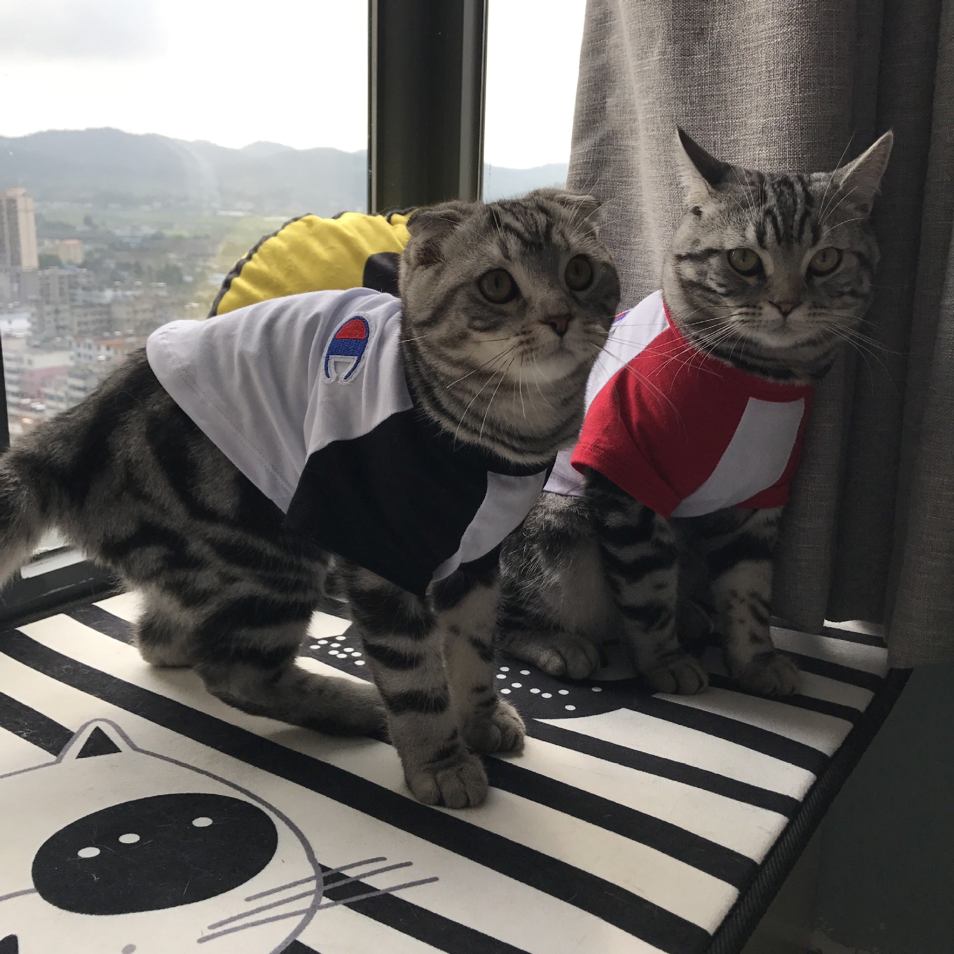 HKM-9538877 Casual Cotton T-Shirt for Dogs and Cats in Black and Red - Summer Season Outfit