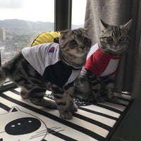 HKM-9538877 Casual Cotton T-Shirt for Dogs and Cats in Black and Red - Summer Season Outfit