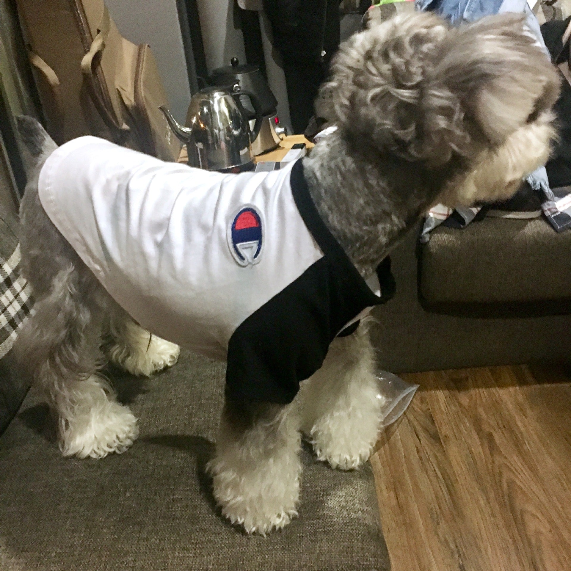HKM-9538877 Casual Cotton T-Shirt for Dogs and Cats in Black and Red - Summer Season Outfit