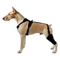 HKM-9540285 Pet Leg and Joint Protection Sleeves in Black - Casual Diving Fabric for Dogs, Available in M, L, XL