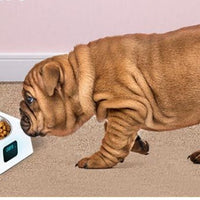 HKM-9542461 Automatic Pet Feeder with 5G Connectivity - Convenient Smart Feeding Solution