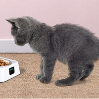 HKM-9542461 Automatic Pet Feeder with 5G Connectivity - Convenient Smart Feeding Solution