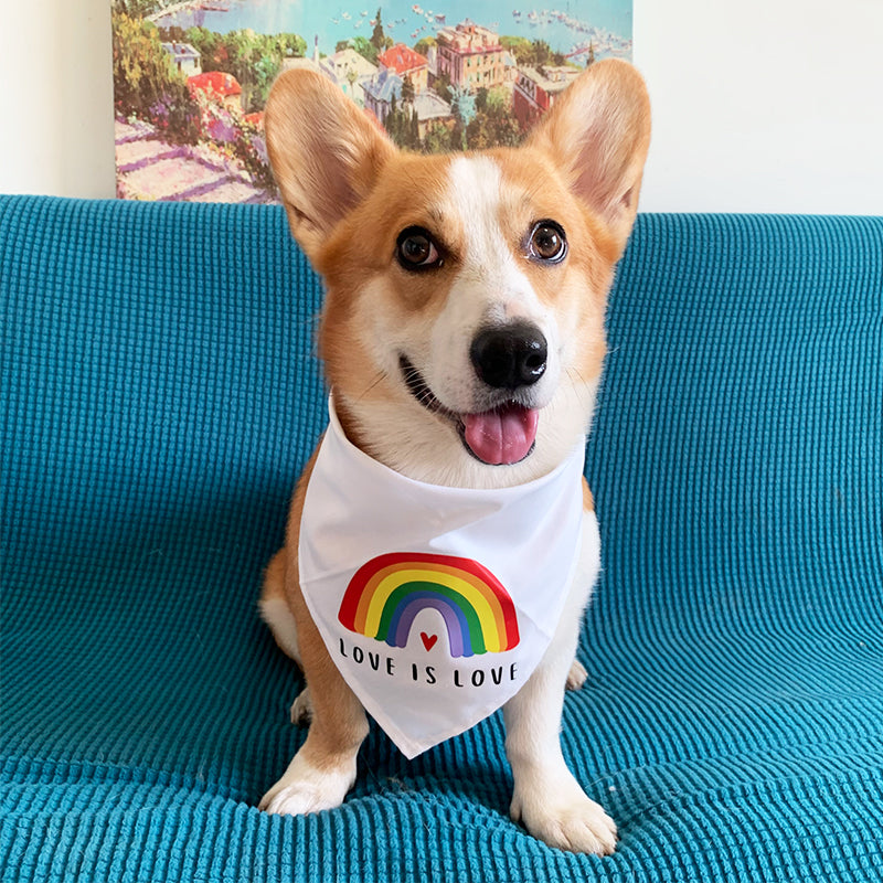 HKM-9543869 Rainbow Triangle Scarf for Dogs - Stylish Cotton Saliva Towel in White