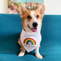 HKM-9543869 Rainbow Triangle Scarf for Dogs - Stylish Cotton Saliva Towel in White