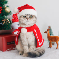 HKM-9550397 Christmas Pet Scarf and Hat Set with Cloaks and Seasonal Accessories for Dogs and Cats