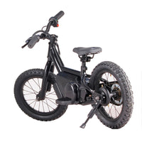 HKM-955091 14-Inch Electric Balance Bike with 250W Motor and Lithium Battery for Kids Ages 2-5, Off-Road Capable
