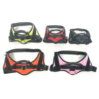 HKM-9551293 Pet Hand-Holding Rope Chest Strap Vest with Leash in Multiple Colors
