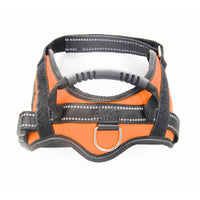 HKM-9551293 Pet Hand-Holding Rope Chest Strap Vest with Leash in Multiple Colors