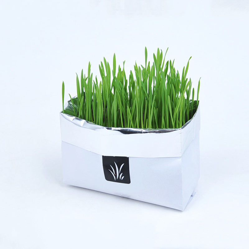 HKM-955283 Soilless Organic Cat Grass