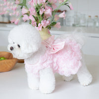 HKM-9556157 Fashionable Pet Clothing for Dogs and Cats in Pink and Champagne ¨C Multiple Sizes Available