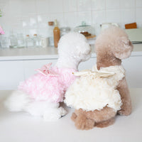 HKM-9556157 Fashionable Pet Clothing for Dogs and Cats in Pink and Champagne ¨C Multiple Sizes Available