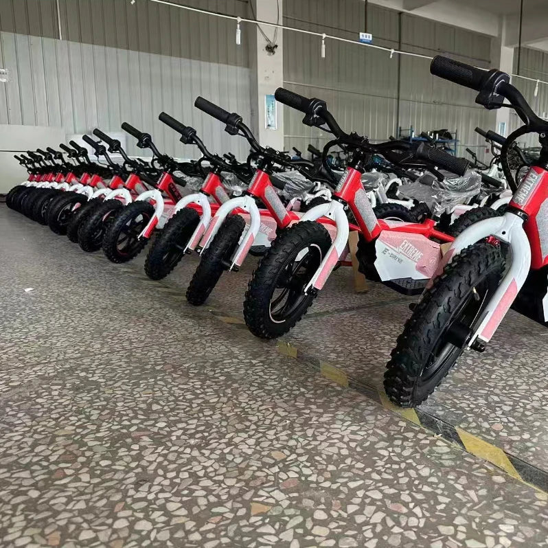 HKM-956243 12 Inch Brushless Hub Motor Electric Balance Bike for Kids, 36V 250W, Aluminum Frame, Max Load 85 kg