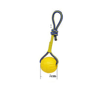 HKM-9564349 Interactive Dog Training Accessories Set with Clicker, Whistle, Frisbees, and Balls