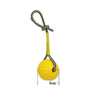 HKM-9564349 Interactive Dog Training Accessories Set with Clicker, Whistle, Frisbees, and Balls