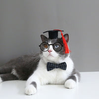 HKM-9565757 Doctor's Degree Pet Hair Band with Bow Tie ¨C Adjustable Elastic Woolen Felt Accessory for Dogs and Cats