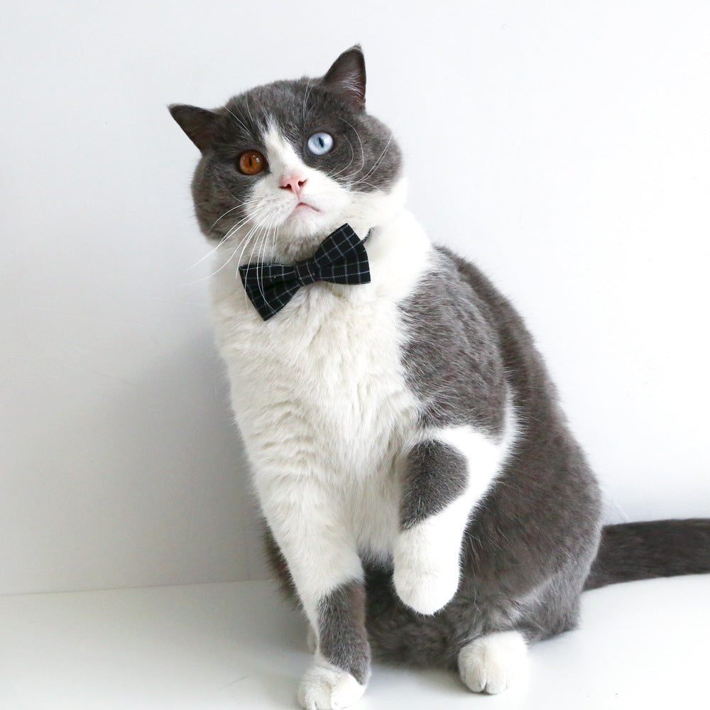 HKM-9565757 Doctor's Degree Pet Hair Band with Bow Tie ¨C Adjustable Elastic Woolen Felt Accessory for Dogs and Cats