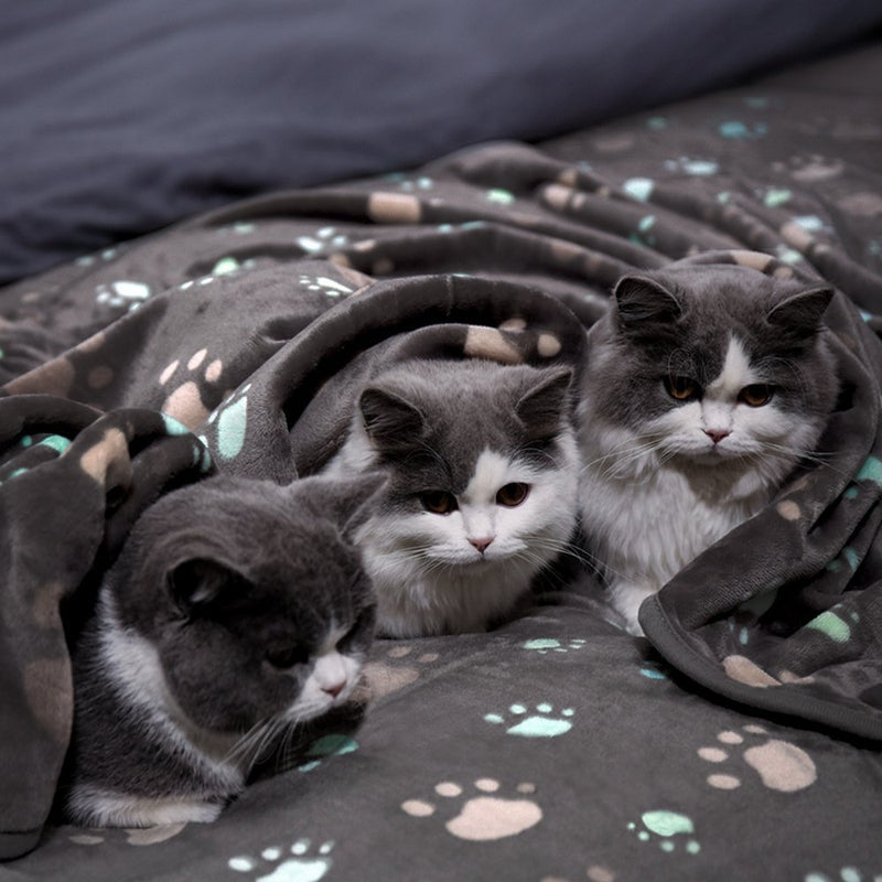 HKM-9570109 Thick Flannel Pet Blanket for Dogs and Cats, Multiple Sizes Available