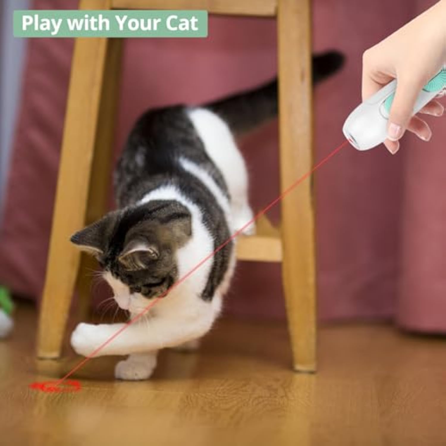 HKM-9570749 Interactive Rechargeable Laser Pointer Cat Wand with Feather Toy - 2-in-1 Indoor Play for Cats and Kittens