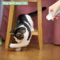HKM-9570749 Interactive Rechargeable Laser Pointer Cat Wand with Feather Toy - 2-in-1 Indoor Play for Cats and Kittens