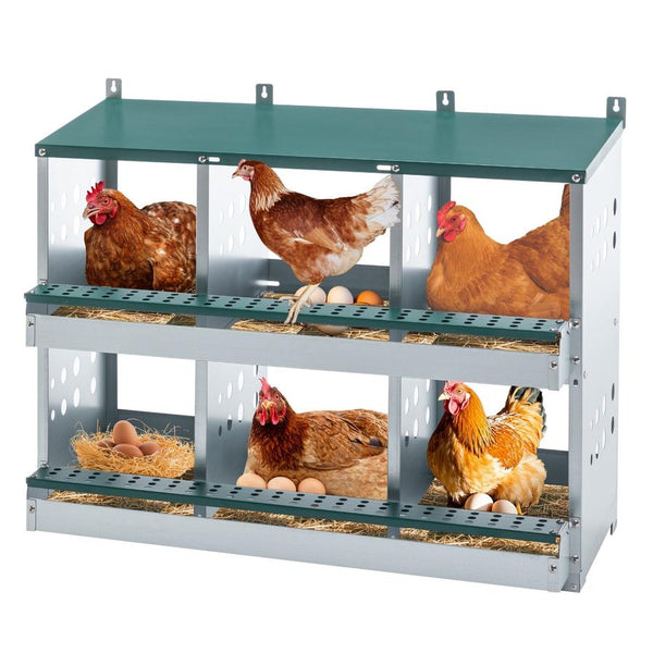 HKM-957139 Roll Away 6 Compartment Chicken Nesting Box with Easy Egg Collection and Cleaning System, Green