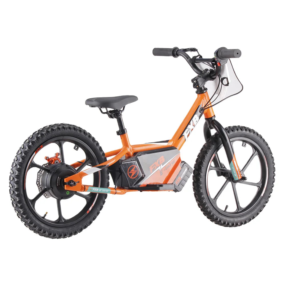 HKM-957395 16-Inch Lithium Battery Electric Kids Bike with No Pedal, Aluminum Alloy Frame, 250W Motor, Disc/Drum Brake System, 50 kg Load Capacity