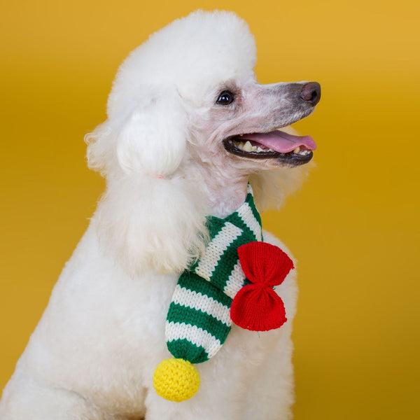 HKM-9576637 Warm Handmade Woolen Scarf for Dogs - Stylish and Cozy, Available in Red and Green