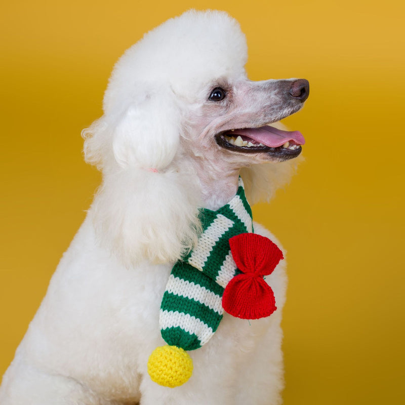 HKM-9576637 Warm Handmade Woolen Scarf for Dogs - Stylish and Cozy, Available in Red and Green