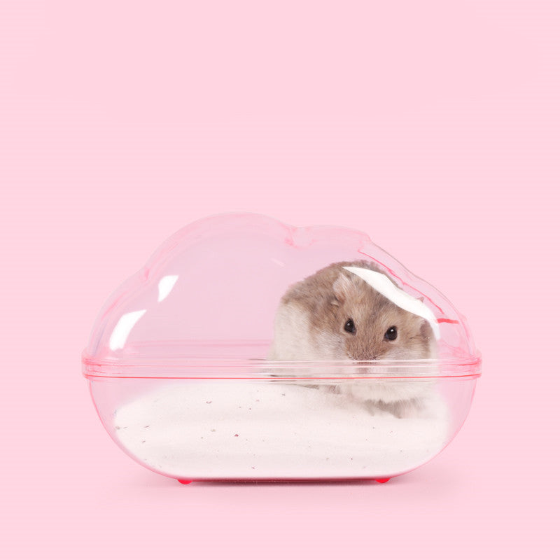 HKM-9576893 Dual-Purpose Cloud-Shaped Hamster Bathtub with Splash-Proof Design and Transparent View