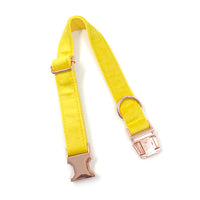 HKM-9577021 Yellow Velvet Dog Collar with Engraved Rose Gold Buckle and Bow Tie