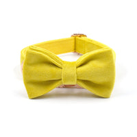 HKM-9577021 Yellow Velvet Dog Collar with Engraved Rose Gold Buckle and Bow Tie