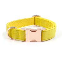 HKM-9577021 Yellow Velvet Dog Collar with Engraved Rose Gold Buckle and Bow Tie