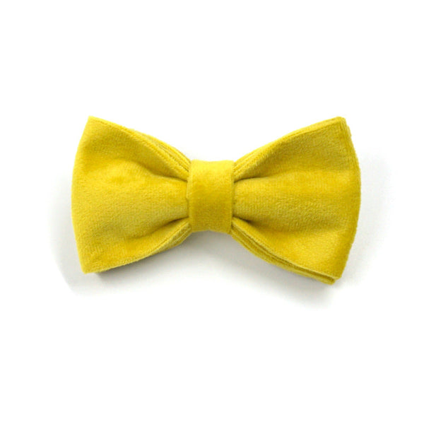 HKM-9577021 Yellow Velvet Dog Collar with Engraved Rose Gold Buckle and Bow Tie