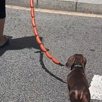 HKM-9578813 Thick Dog Traction Chain with Funny Sausage Design for Small and Medium Pets