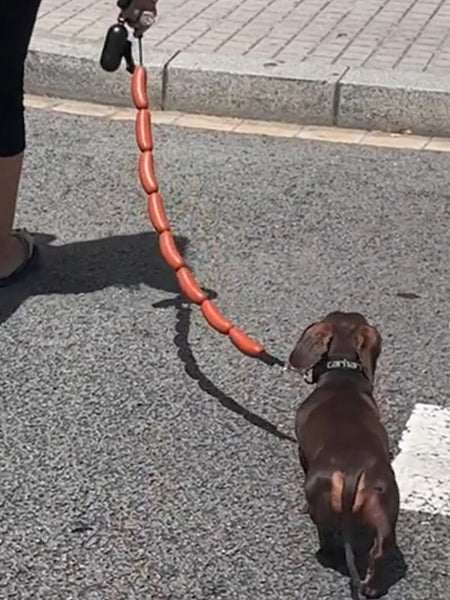 HKM-9578813 Thick Dog Traction Chain with Funny Sausage Design for Small and Medium Pets