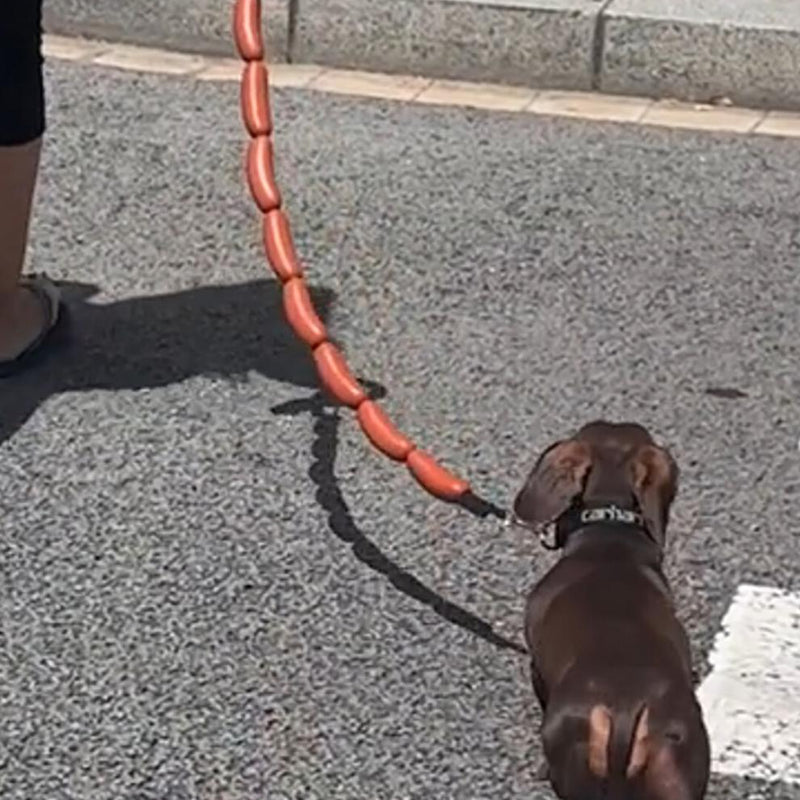 HKM-9578813 Thick Dog Traction Chain with Funny Sausage Design for Small and Medium Pets