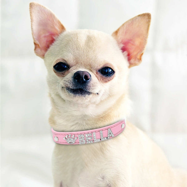 HKM-9580861 Personalized Rhinestone Cat and Small Dog Collar in Multiple Colors