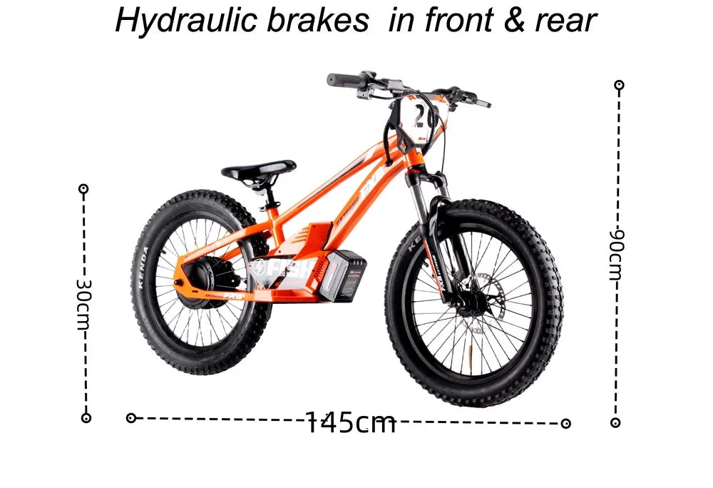 HKM-958547 20 Inch Electric Balance Bike for Kids, 800W Motor, 3 Speed Adjustable, 36V Lithium Battery, Ages 5-12
