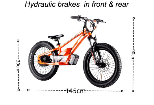 HKM-958547 20 Inch Electric Balance Bike for Kids, 800W Motor, 3 Speed Adjustable, 36V Lithium Battery, Ages 5-12