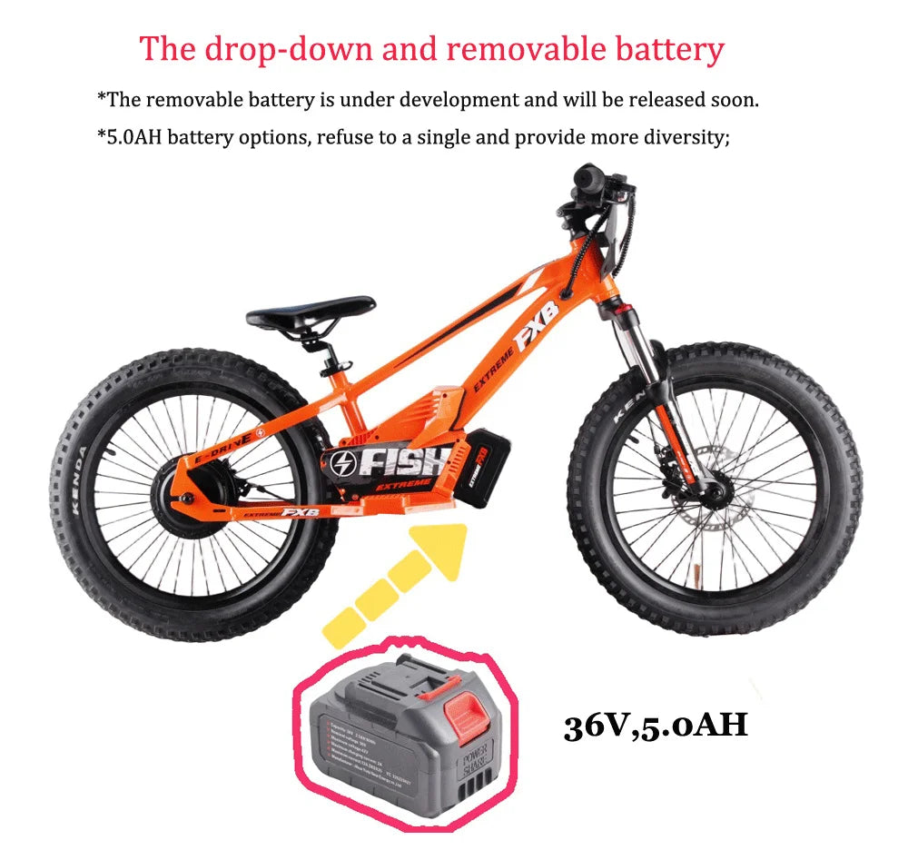 HKM-958547 20 Inch Electric Balance Bike for Kids, 800W Motor, 3 Speed Adjustable, 36V Lithium Battery, Ages 5-12