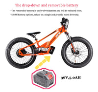 HKM-958547 20 Inch Electric Balance Bike for Kids, 800W Motor, 3 Speed Adjustable, 36V Lithium Battery, Ages 5-12