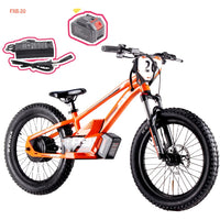 HKM-958547 20 Inch Electric Balance Bike for Kids, 800W Motor, 3 Speed Adjustable, 36V Lithium Battery, Ages 5-12