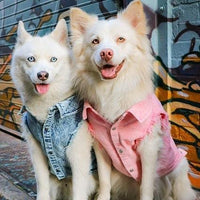 HKM-9590205 Stylish Washed Denim Jacket for Pets in Denim Blue and Cowboy Pink - Multiple Sizes Available